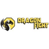 Dragon Fight